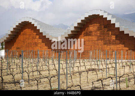 Spain, Laguardia, vineyard, Bodegas Ysios, Stock Photo