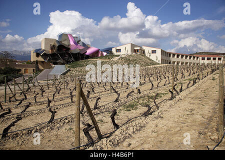 Spain, Elciego, hotel 'Marqués de Riscal', architecture, outdoors, hill, vineyard, Europe, building, structure, hotel building, luxury hotel, hotel, modern, design, extraordinary, forms, facade, roof, curved, colourful, metal, reflection, slope, plants, v Stock Photo