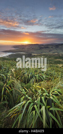 Sunrise in Sandy Mount, Dunedin, Otago, south Island, New Zealand Stock Photo