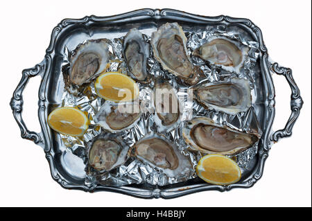 Fresh oysters (Ostreidae) on a tray with lemon, isolated on white background Stock Photo