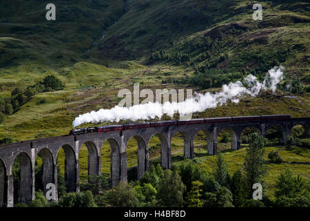 The Hogwarts express train on the Glenfinnan viaduct Stock Photo