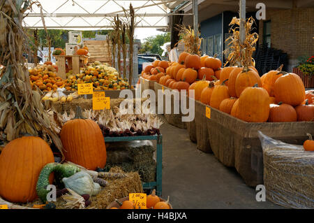 Pumpkins and squash for sale at the Jean Talon Market, Montreal Quebec, Canada Stock Photo