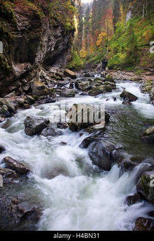 Autumn, wood, river, torrent, rapids, Breitachklamm (gorge), Allgäu, the Alps, Bavaria, Germany Stock Photo