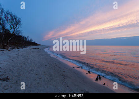Sundown, beach, the Baltic Sea, Darss, surf, wood, coast, sea, Germany Stock Photo