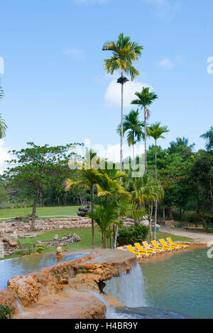 The Dominican Republic, the east, Sabana de la Mar, garden of the hotel of Paraiso Cano Hondo Stock Photo