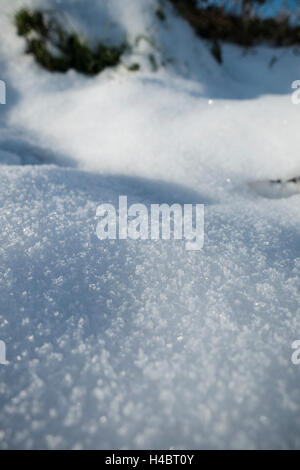 Snow and snow crystals in the sunlight Stock Photo