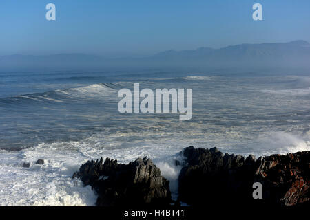 Grootbos Nature Reserve, coastal landscpae near De Kelders, South Africa, Western Cape Stock Photo