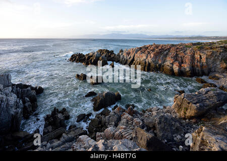 Grootbos Nature Reserve, coastal landscpae near De Kelders, South Africa, Western Cape Stock Photo