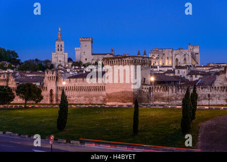 France, Provence, Vaucluse, Avignon, old town, city wall, Papal palace, view from the Pont Edouard Daladier Stock Photo