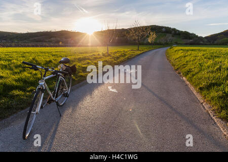 Street, bicycle, cherry blossom on the foot of the Leitha Mountains between Donnerskirchen and Purbach, at the cherry blossom cycle track, Burgenland, Austria, Europe, Stock Photo