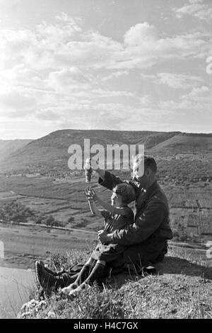 Winzer aus Beilstein bei der Weinlese im Weinberg, Deutschland 1930er Jahre. Winegrower at work in hnis vineyard near Beilstein, Germany 1930s Stock Photo