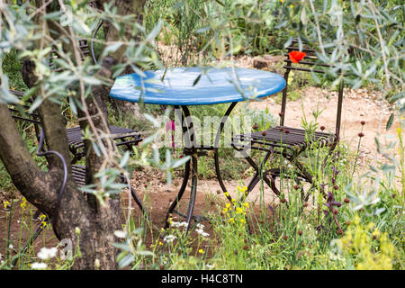 Cafe table beneath olive trees Olea europeaus with natural wild planting including aromatic plants borago, poppies and roses. A Perfumer's Garden in Grasse garden, Chelsea Flower Show 2015 Stock Photo