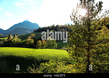 Germany, Bavaria, Mittenwald, view from the Gröblalm Stock Photo