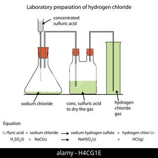 preparation hydrogen chloride gas laboratory diagram labelled fully zinc acid sodium illustration hcl oxygen sulfuric vector sulphuric chemistry apparatus draw