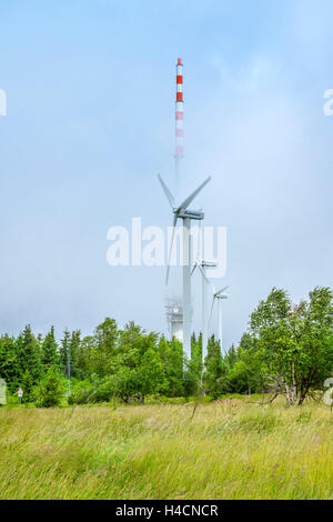 Germany, Baden-Wurttemberg, sea brook, SWR radio tower and wind power stations in the fog on the Hornisgrinde, to the highest mountain the north Black Forest,
