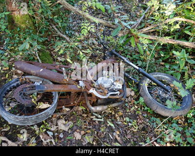 A burnt out rusty motorcycle in the woods Stock Photo