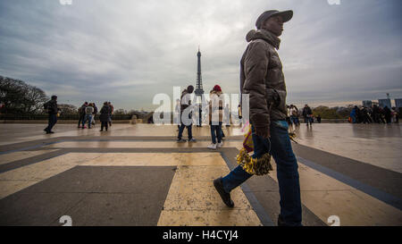 Europe, France, Paris, Eiffel Tower as seen from the Trocadero Stock Photo