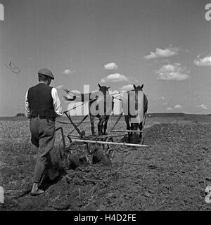 Ein Bauer bewirtschaftet seinen Acker in der Nähe von Hohenstein in Ostpreußen, Deutschland 1930er Jahre. A farmer ploghing his field near Hohenstein near East Prussia, Germany 1930s. Stock Photo