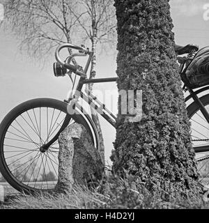 Ein Fahrrad lehnt an einem moosbewachsenen Baum in der Lüneburger Heide, Deutschland 1930er Jahre. A bicycle leaning on a tree at Luneburg Heath area, Germany 1930s.