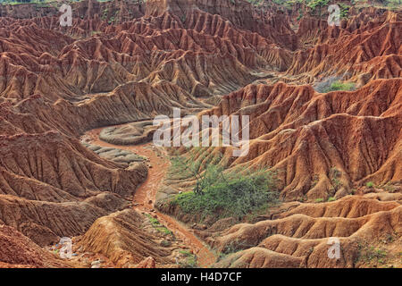 Republic Colombia, Tatacoa desert, scenery in the department Huila, Desierto de la Tatacoa Stock Photo