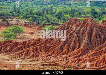 Republic Colombia, Tatacoa desert, scenery in the department Huila, Desierto de la Tatacoa Stock Photo