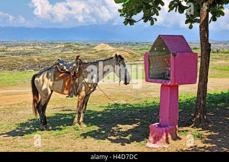 Republic Colombia, scenery in the department Huil, Muli, Marterl Stock Photo