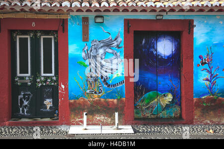 Island Madeira, Funchal, coloured, painted doors and outside wall in the Old Town, 'The art open doors ', Street Santa Maria Stock Photo