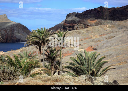 Madeira, in Cap Ponta de Sao Lourenco, scenery at the eastern end the island Stock Photo