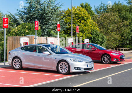 Tesla model s electric cars at recharging point, Hopwood Service Station Birmingham UK GB Europe electric vehicle Stock Photo