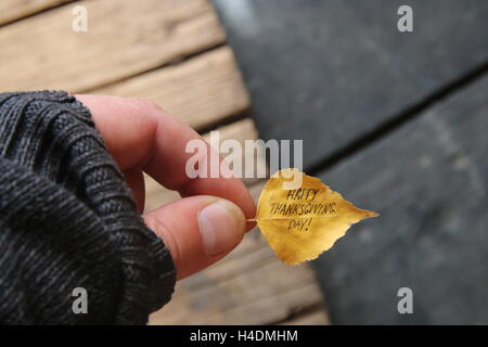 thanksgiving greeting card - leaf with text Stock Photo