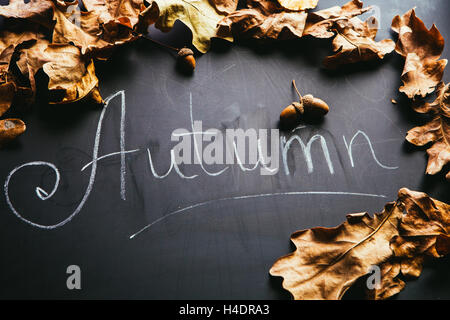 yellow leaves and the inscription autumn on a blackboard. Stock Photo