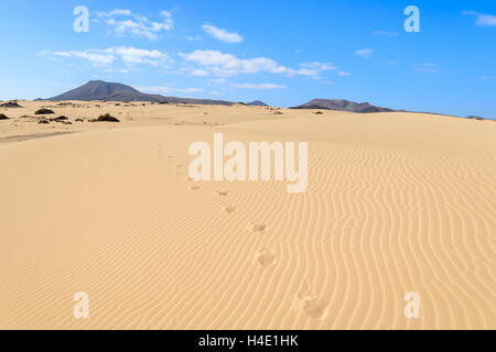 Footprints on sand dunes in Corralejo National Park, Fuerteventura, Canary Islands, Spain Stock Photo