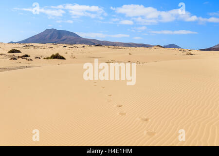 Footprints on sand dunes in Corralejo National Park, Fuerteventura, Canary Islands, Spain Stock Photo