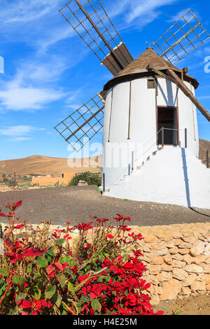 Traditional old windmill with red flowers in foreground in Tiscamanita village, Fuerteventura, Canary Islands, Spain Stock Photo