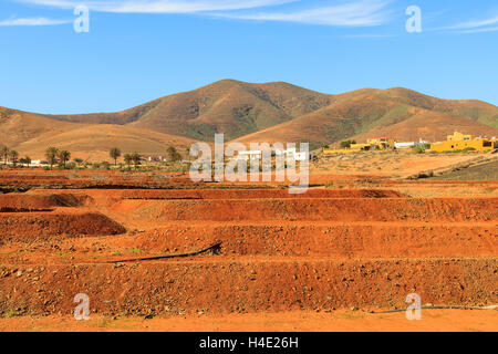Red volcanic soil fields with view of mountains near Antigua village, Fuerteventura, Canary Islands, Spain