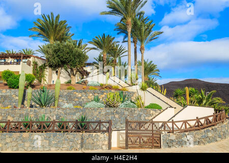 Palm trees in holiday villa complex along a street in Morro Jable town, Fuerteventura island, Spain Stock Photo