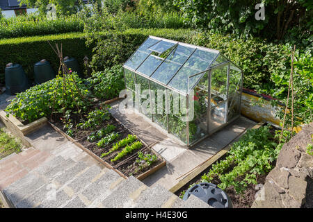 Garden with greenhouse and vegetable patch, Wales, UK Stock Photo
