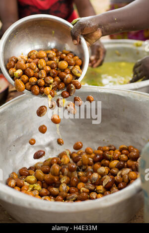 Shea nuts are washed after the fruit is removed as part of the shea butter making process in rural Réo, Burkina Faso. Stock Photo