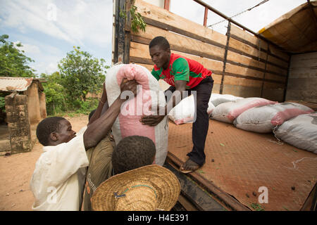 Bags of shea nuts are loaded on to a lorry going to a shea butter fair trade production centre in Burkina Faso, West Africa. Stock Photo