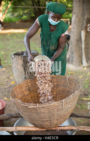 Shea nuts are washed at a fair trade shea butter production facility in Réo, Burkina Faso, West Africa. Stock Photo