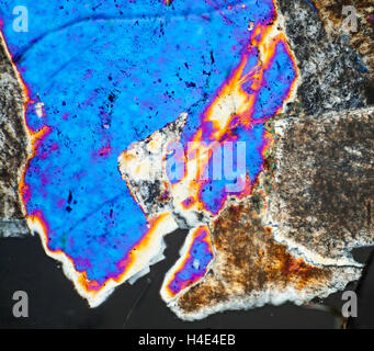 Biotite - granite, Mourne type, Co Down, Ireland. Polarized photomicrograph, thin section Stock Photo