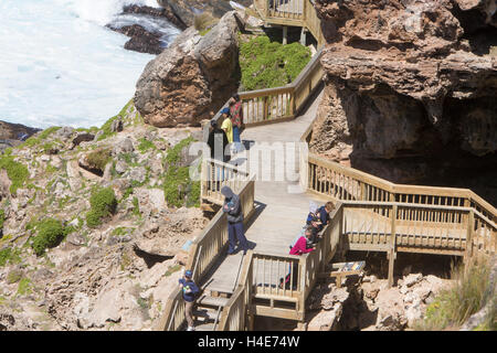 Tourists on the boardwalk to see Admirals arch in flinders chase national park,south australia Stock Photo