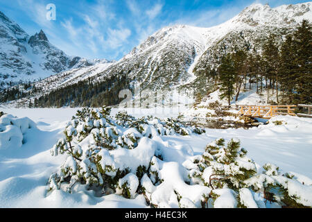 Wooden footbridge on hiking trail and covered with snow beautiful Morskie Oko lake in winter, High Tatra Mountains, Poland Stock Photo