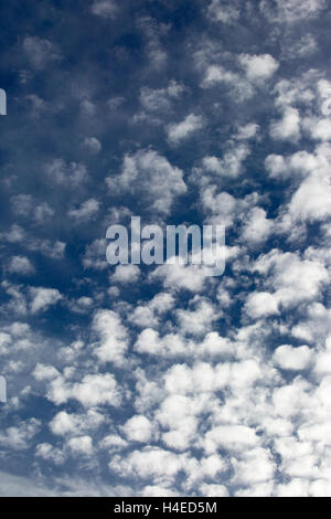 Altocumulus Cloud formation on a blue sky day Stock Photo - Alamy