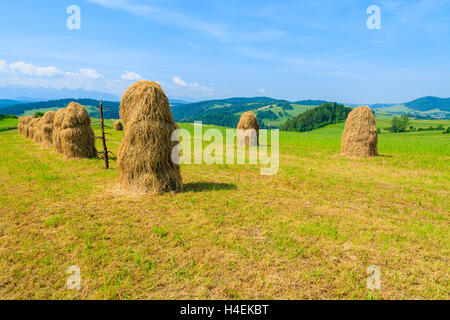 Hay bales on green field in summer landscape, Pieniny Mountains, Poland Stock Photo