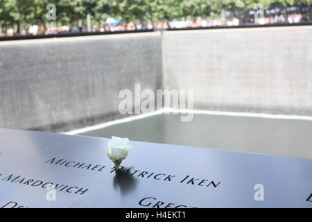 Ground Zero - New York on the anniversary of 911 (weekend) with a beautiful white rose Stock Photo