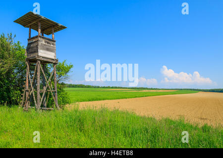 Watchtower along a rural road in green fields, Burgenland, southern Austria Stock Photo