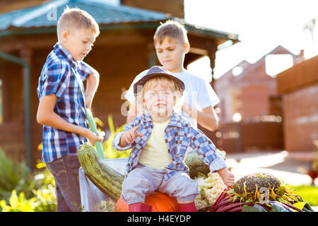 Children working in garden. Kids harvesting in autumn Stock Photo