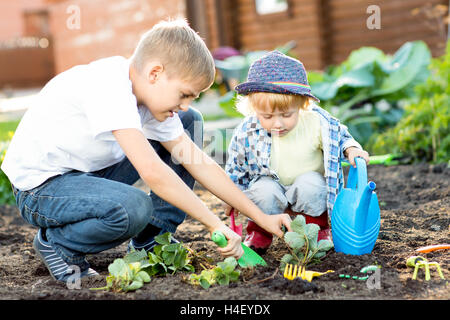 Kids planting strawberry seedling into fertile soil outside in garden Stock Photo