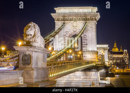 Night view of the Szechenyi Chain Bridge over Danube River and stone lion. Nightlife of Budapest, Hungary. Stock Photo